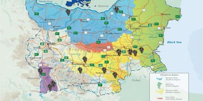 Карта болгарське вино